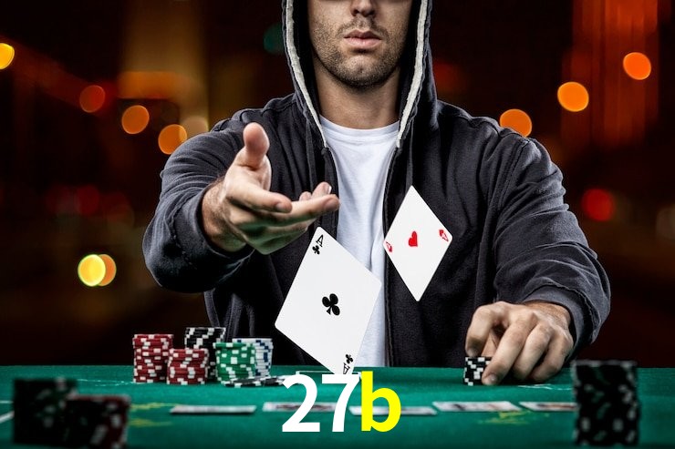 27b App Interface